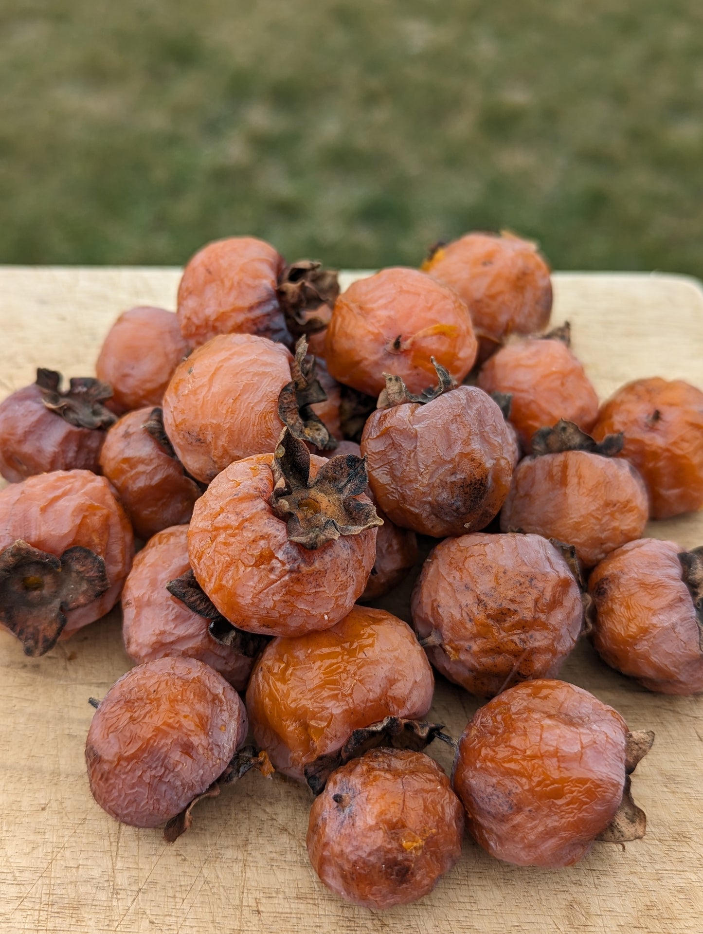 American Persimmon