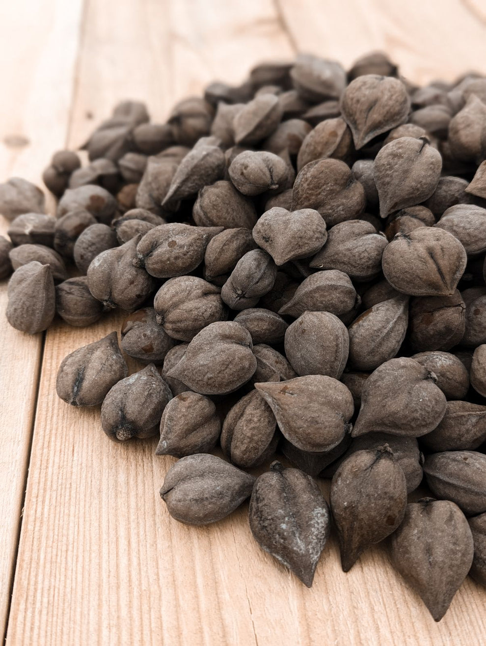 Heartnut Trees For Sale | Humble Roots Tree Farm